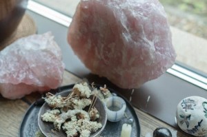 宋雨琦你要毁了我吗？粉丝心碎质问背后真相