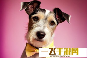 特朗普周末关税突袭挑战市场韧性