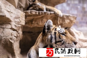 震惊！商家进口吨脏贝壳被重罚万，环保部门严查