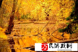 儿子继承母亲责任，辛勤耕耘母亲的土地，传承无声的感恩与家族希望