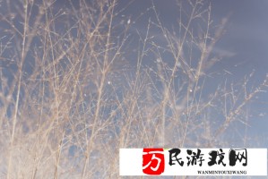 好奇号拍摄的火星夜空惊艳全网，这些星座你认识几个？