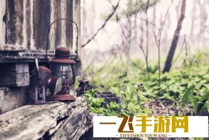 【巴西汉学家沈友友：在精神的世界探寻“中国房间”】