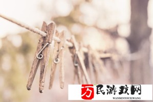 歪歪漫画登录页面首页登录画异常问题排查指南