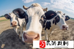 邓超在家喊胡曼黎被孙俪骂上热搜 夫妻感情引热议