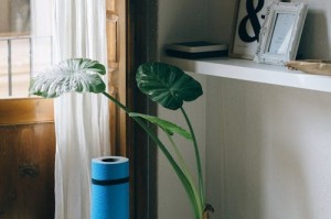 皮克万用户分享：他们是如何从中受益的？
