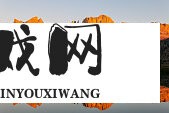 杨紫华伦公主角色解析，她如何演绎这一传奇人物？