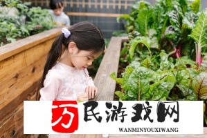 亚洲M码与欧洲V码的区别：如何避免网购尺码踩雷