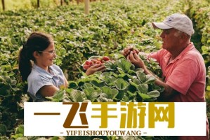YSL千人千色AE口红评测：为什么它如此受欢迎？