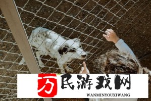 外国人给我吃兴奋剂是否违法？法律解读