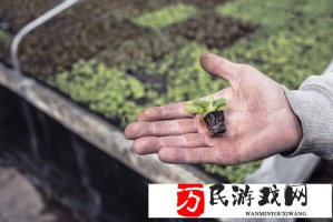 金价暴涨预示市场正经历根本性转变：投资者该如何应对？