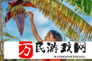 深度解析：星空传媒为何同时力捧苏清歌和孟若羽？