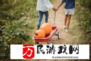 漫漫漫画官网免费阅读体验报告：画质清晰更新快！