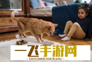 歪歪漫画官方页面在线看漫画免费？最新漫画连载实时更新